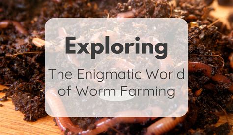  Worms? Wild Wonders! Exploring the Enigmatic World of the Worm-Eating Flatworm